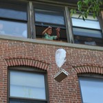 Emerson's eggdrop.