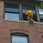 Julia's eggdrop.